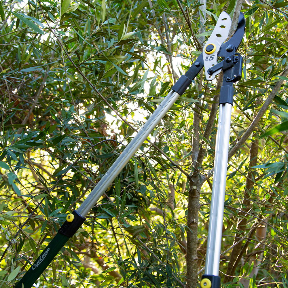 660535-cyclone-ratchet-telescopic-bypass-lopper-plant-flowers-cutting-gardening