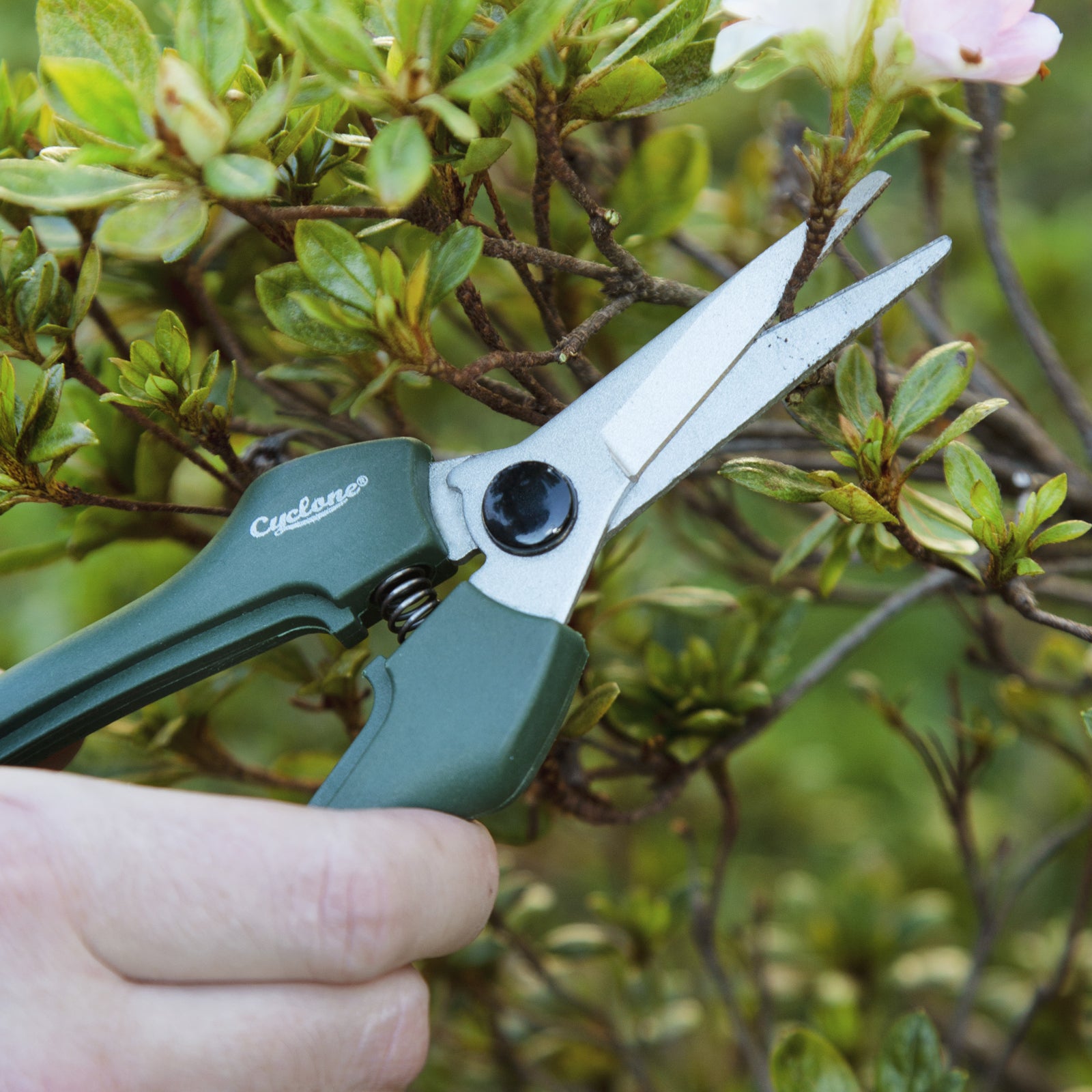 660597-cyclone-snips-floral-plant-flowers-cutting-gardening