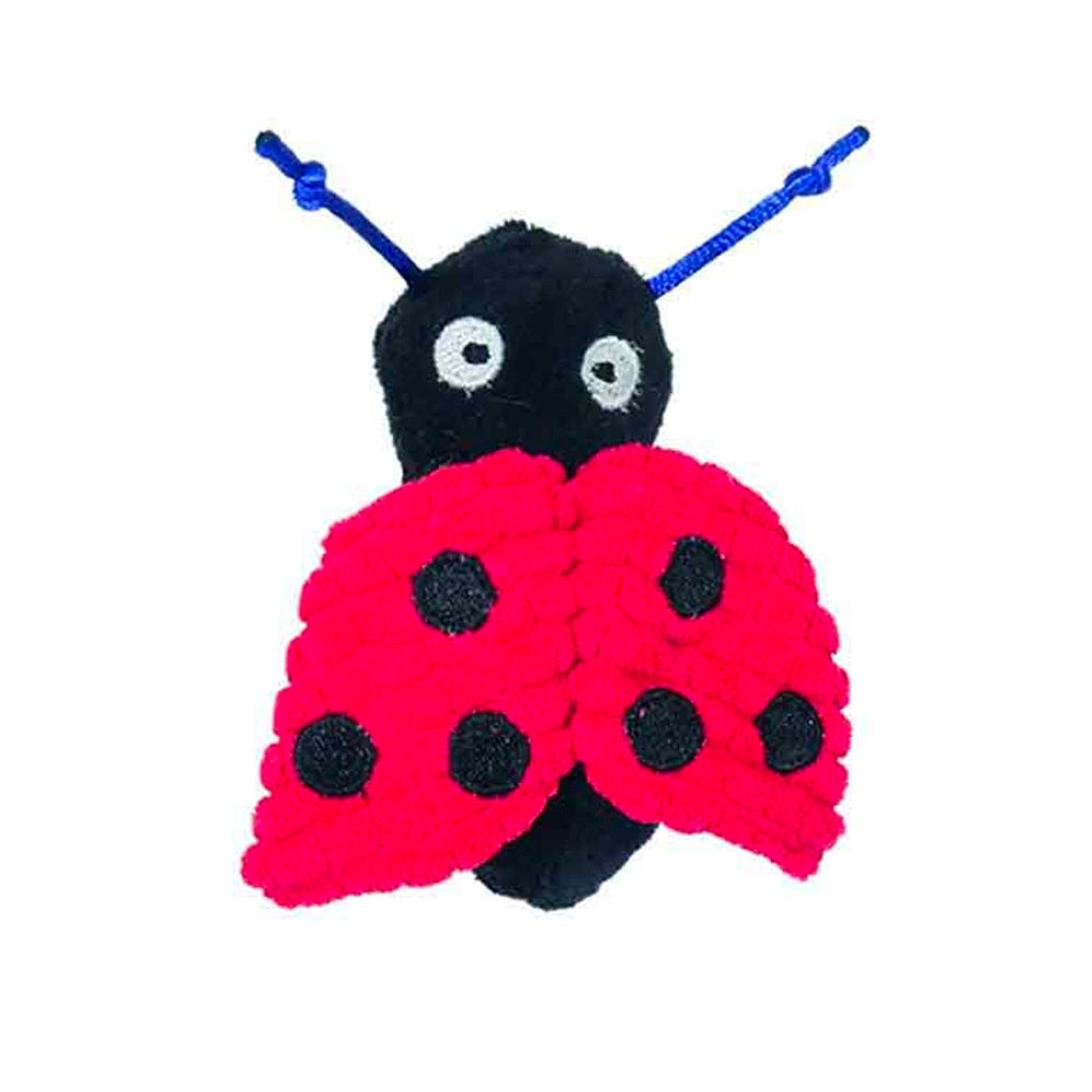 11208-rosewood-pet-jolly-moggy-catnip-tune-chaser-ladybird