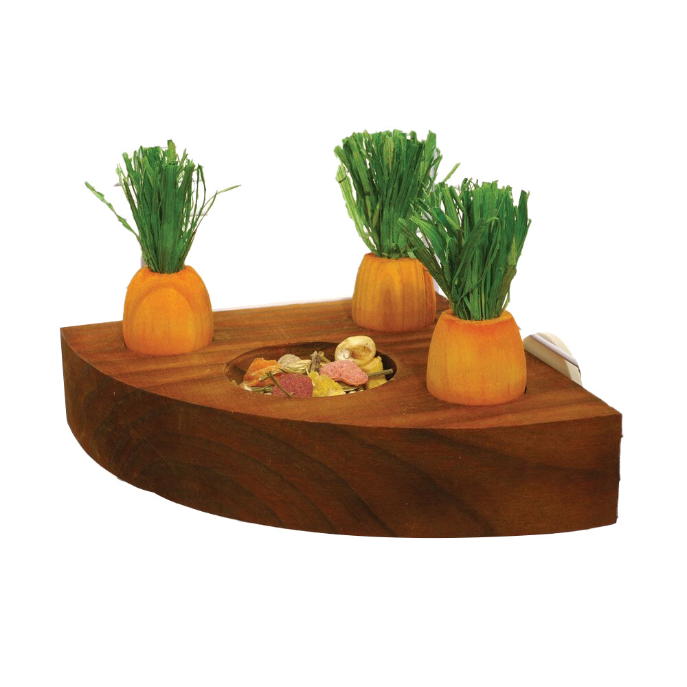 19260-rosewood-12cm-carrot-toy-n-treat-holder-hamster-pet-gnaw-chew-activity-natural