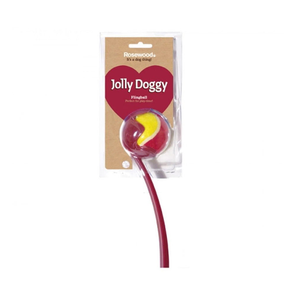 20184-rosewood-jolly-doggy-flingball-pet-dog-chew-fun-training-outdoor-toy-assorted