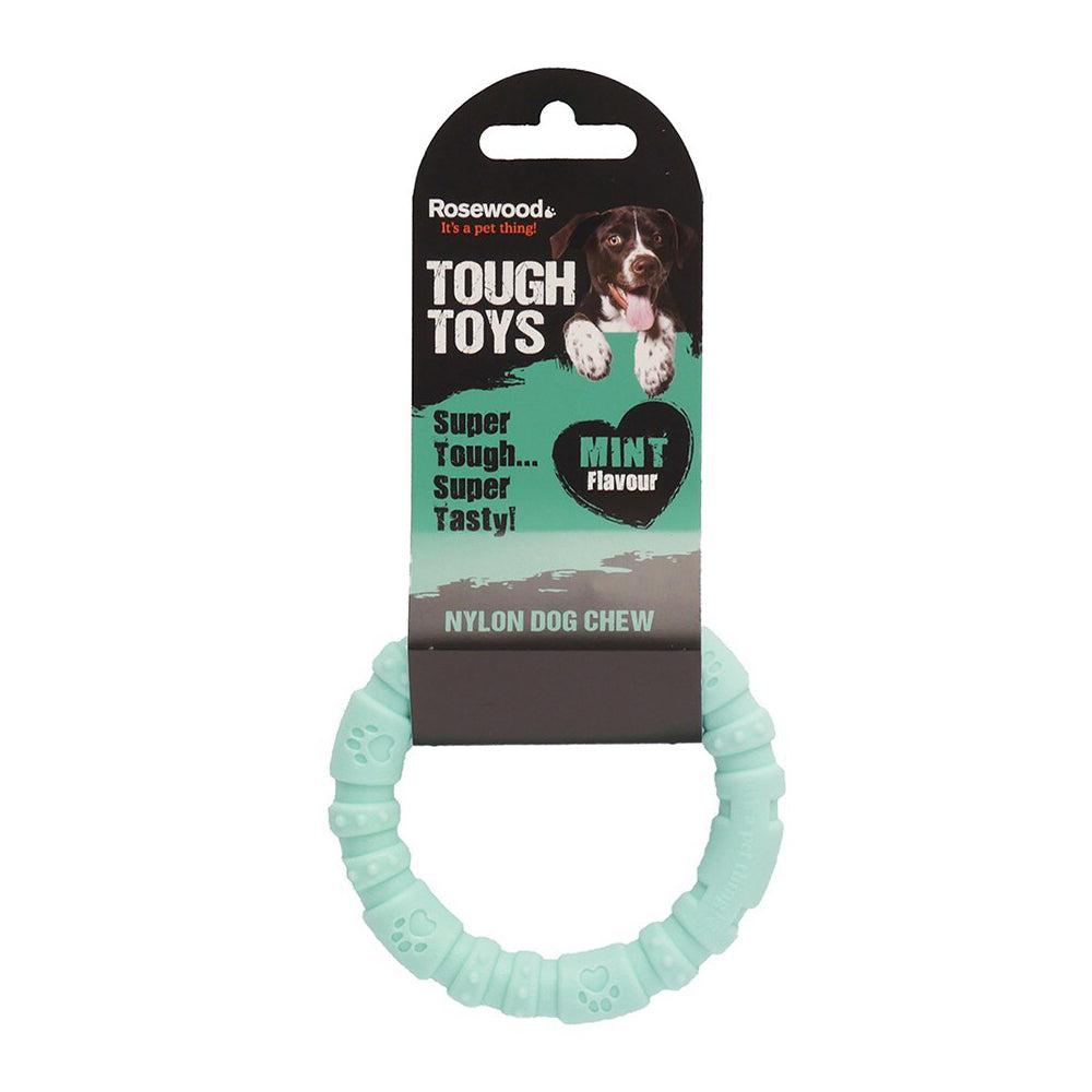 20465-rosewood-nylon-round-hoop-pet-dog-interactive-fun-play-fetch-toy-small-mint