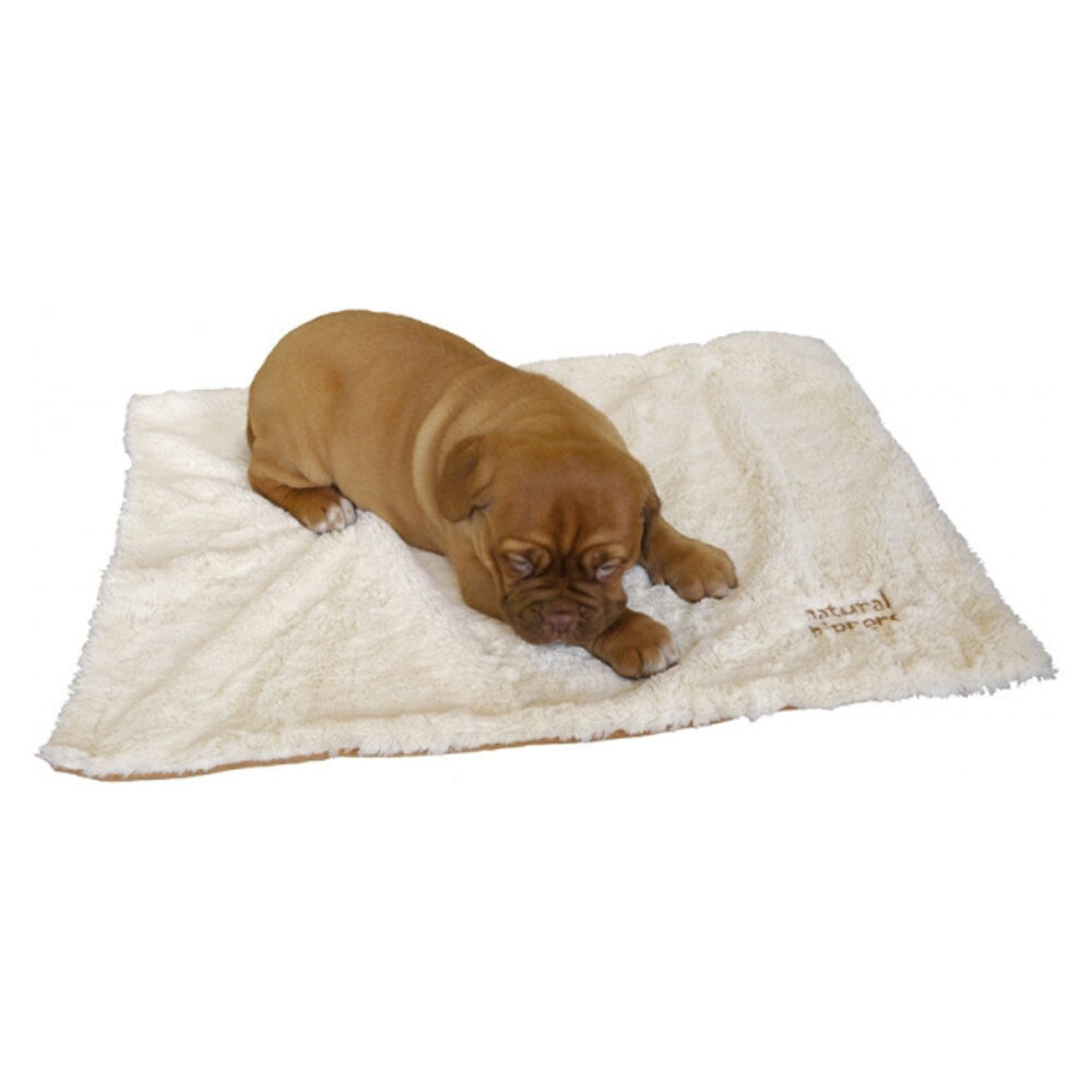 20537-rosewood-luxury-puppy-blanket-70x50cm