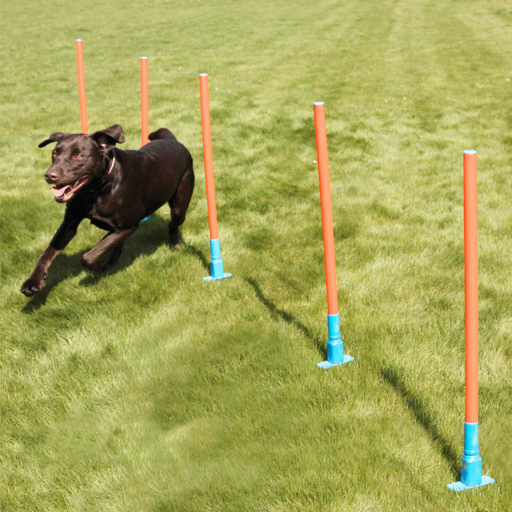 2490-5pc-coopet-81cm-dog-collection-slalom-agility-range