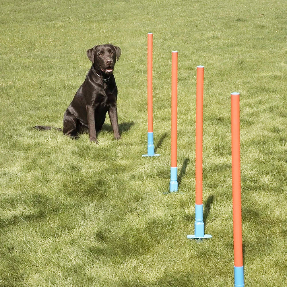 2490-5pc-coopet-81cm-dog-collection-slalom-agility-range
