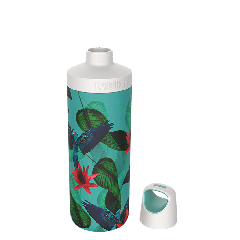 38081-kambukka-reno-500ml-vacuum-insulated-water-bottle-parrots