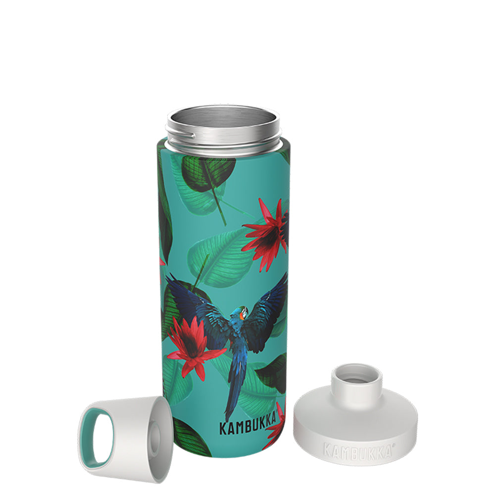 38081-kambukka-reno-500ml-vacuum-insulated-water-bottle-parrots