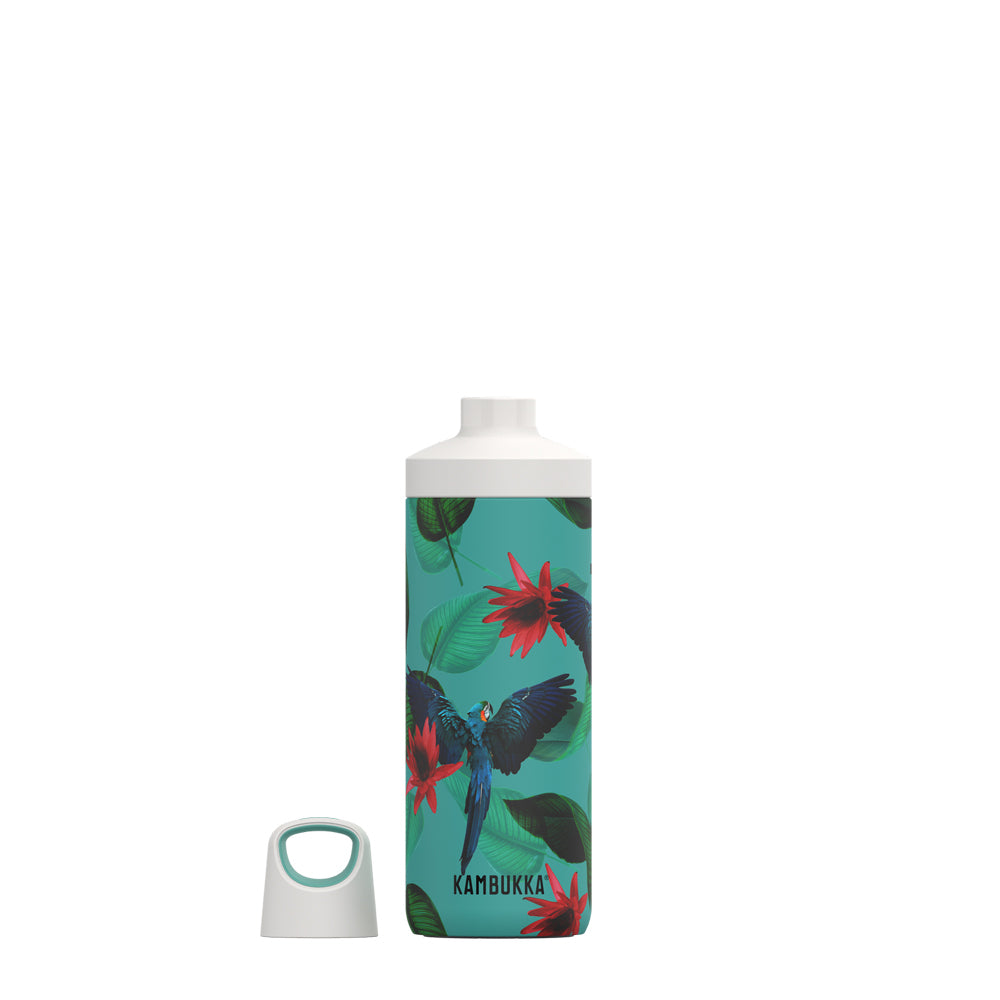 38081-kambukka-reno-500ml-vacuum-insulated-water-bottle-parrots