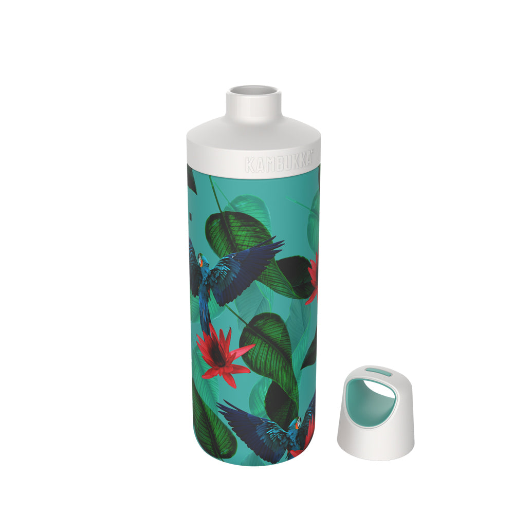38081-kambukka-reno-500ml-vacuum-insulated-water-bottle-parrots