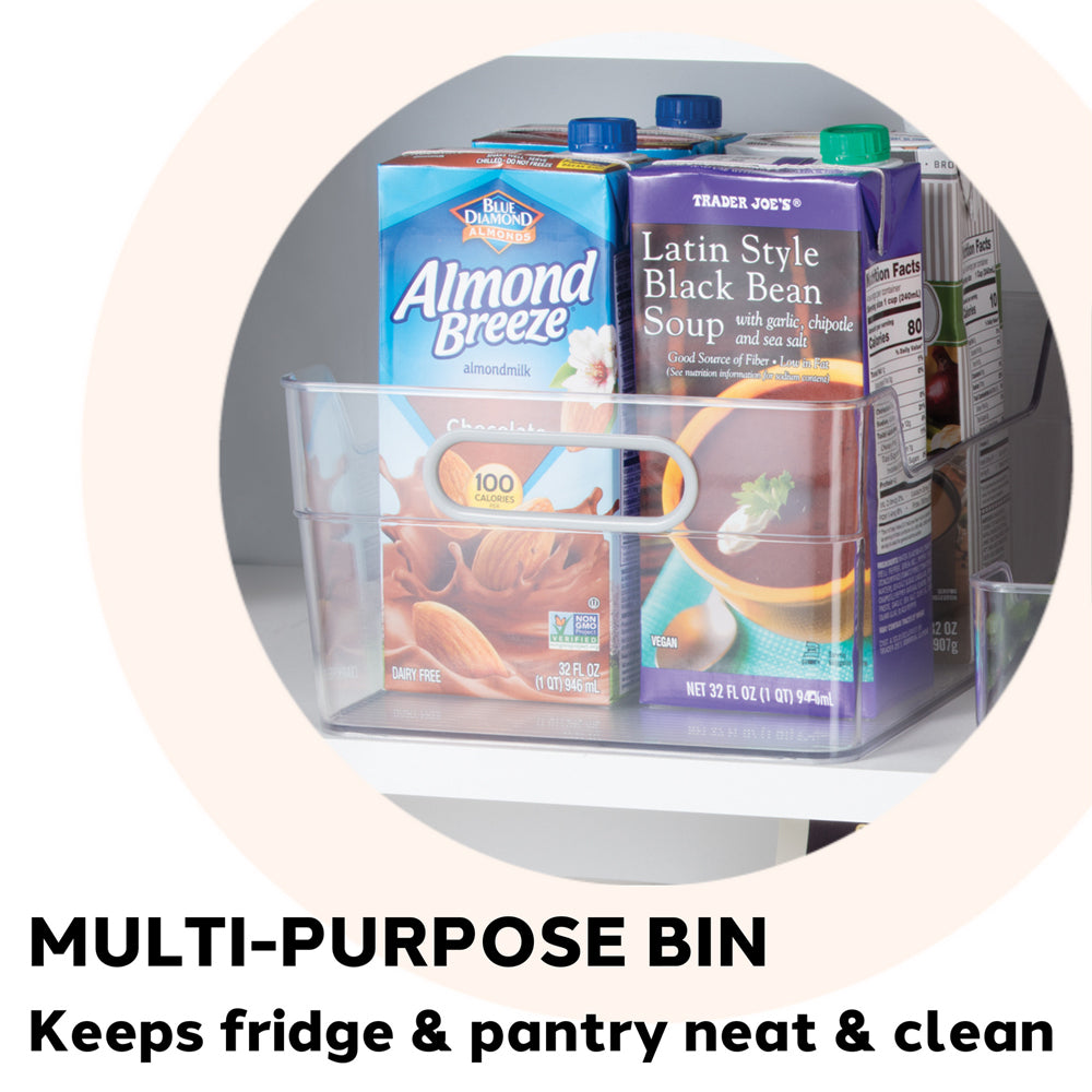 47243-oggi-30x13cm-cabinet-storage-bin-w-soft-grip-handles-clear