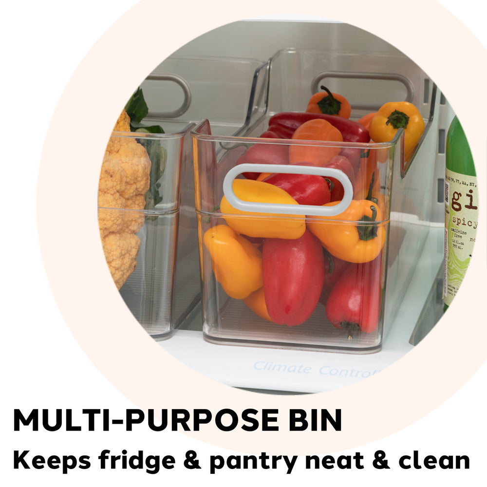 47244-oggi-36x13cm-cabinet-storage-bin-w-soft-grip-handles-clear