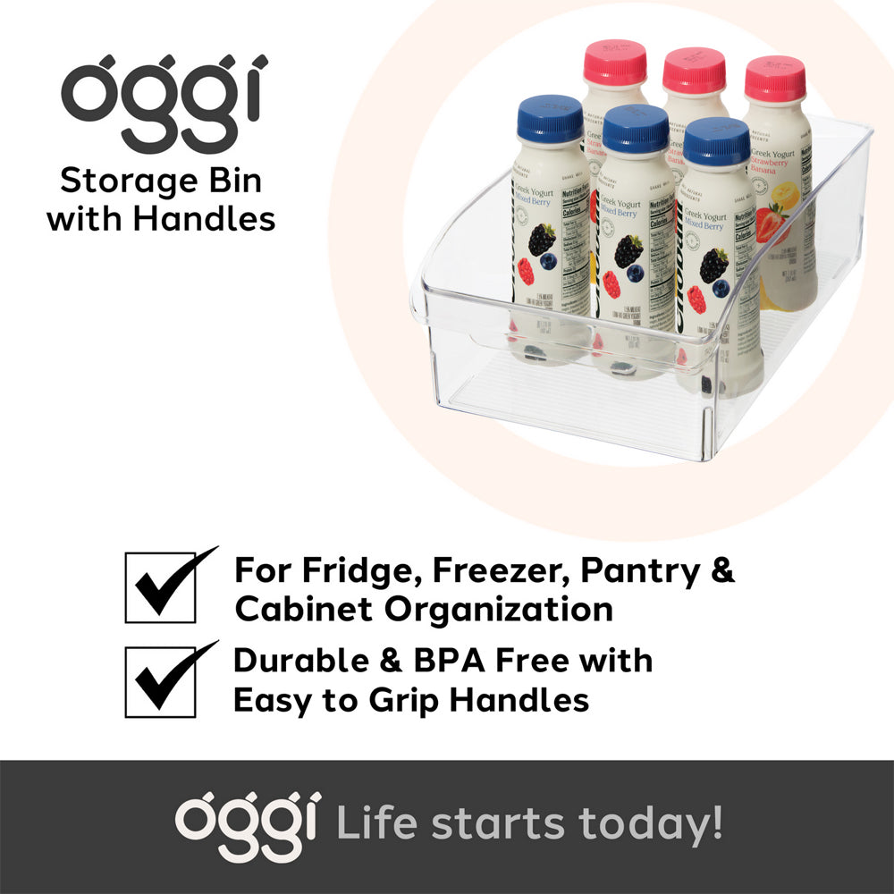 47263-oggi-36x20cm-fridge-pantry-storage-bin-w-finger-grip-handle-clear