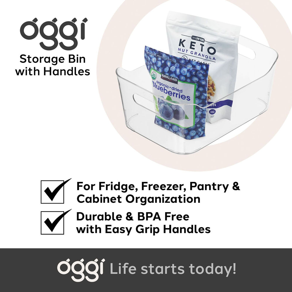 47282-oggi-33cm-storage-bin-home-food-organiser-w-handles-clear