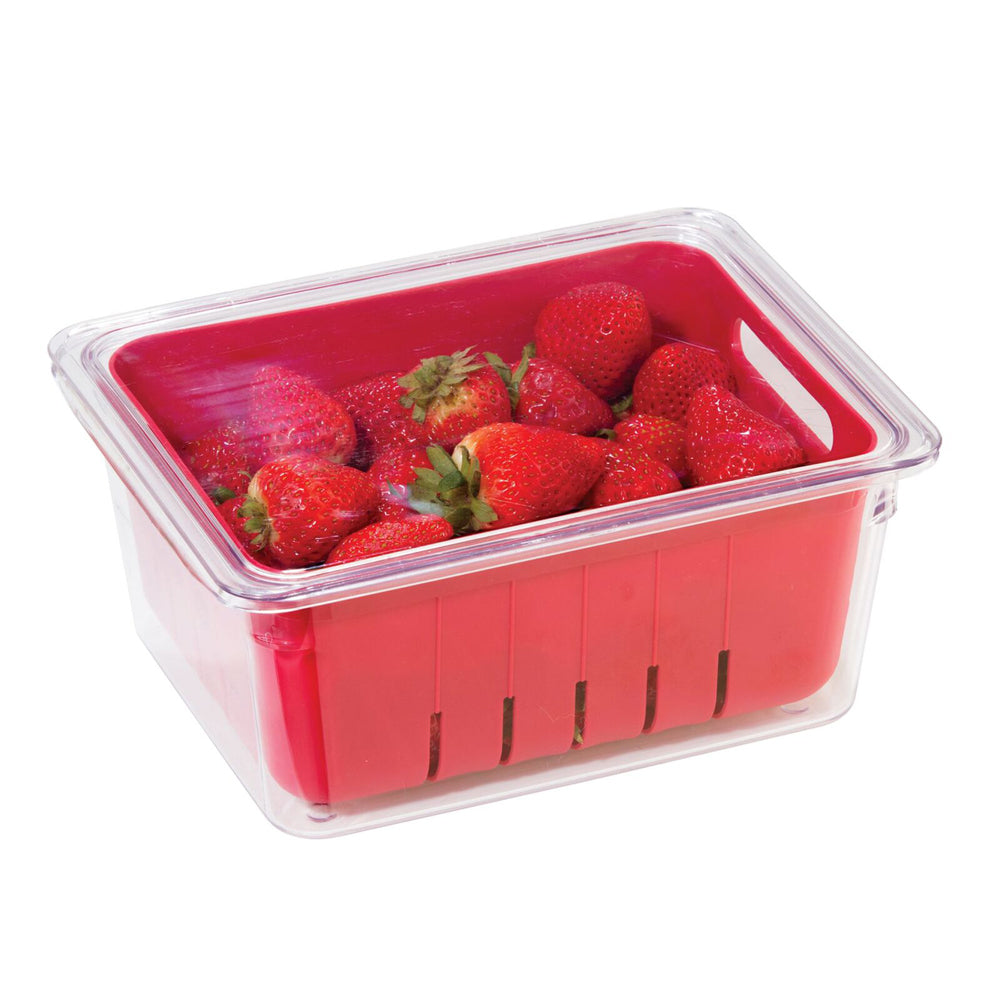 47291-oggi-storefresh-22cm-fruit-berry-bin-storage-basket-red