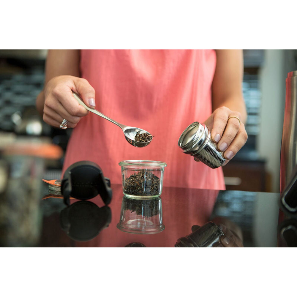507500-contigo-tea-infuser-for-travel-mugs-silver