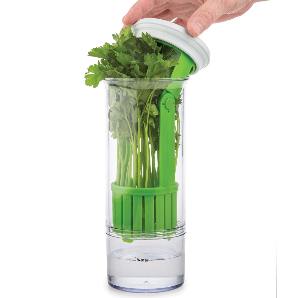 55554-progressive-prep-solutions-herb-keeper-storage-container-green-clear