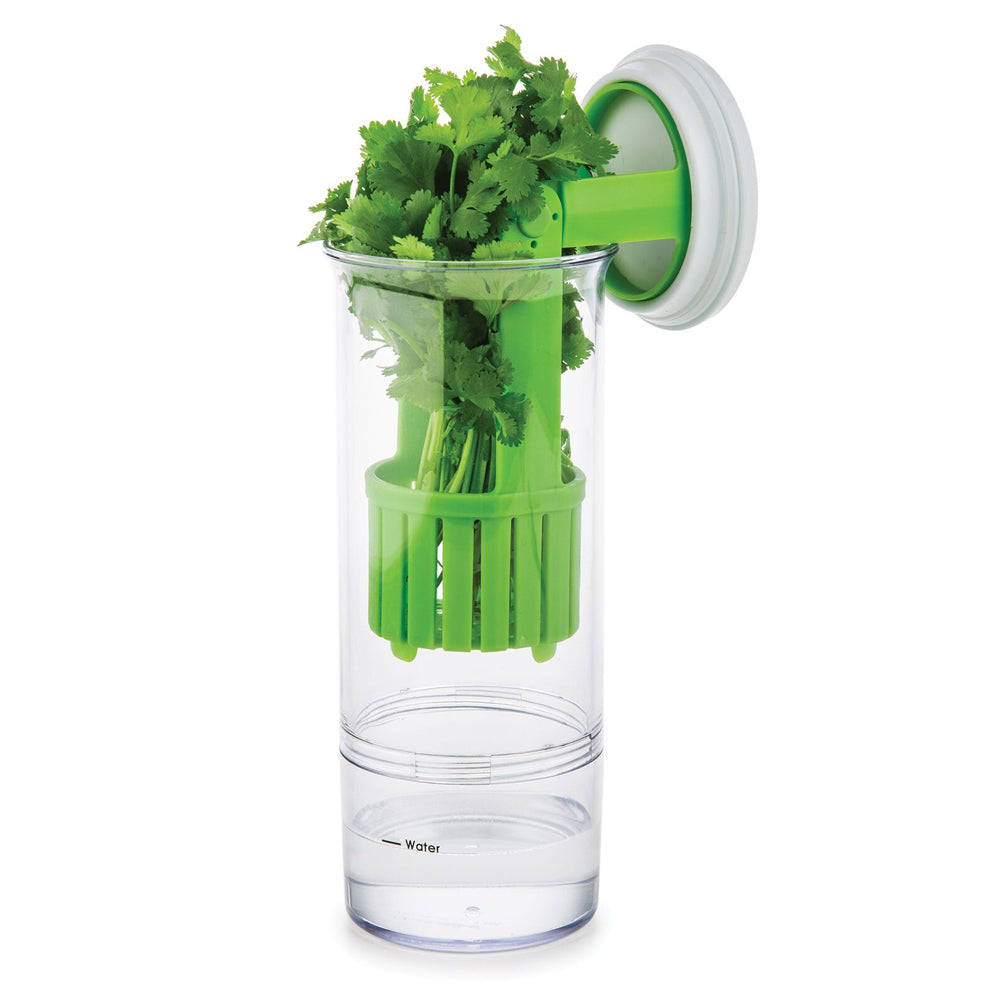 55554-progressive-prep-solutions-herb-keeper-storage-container-green-clear