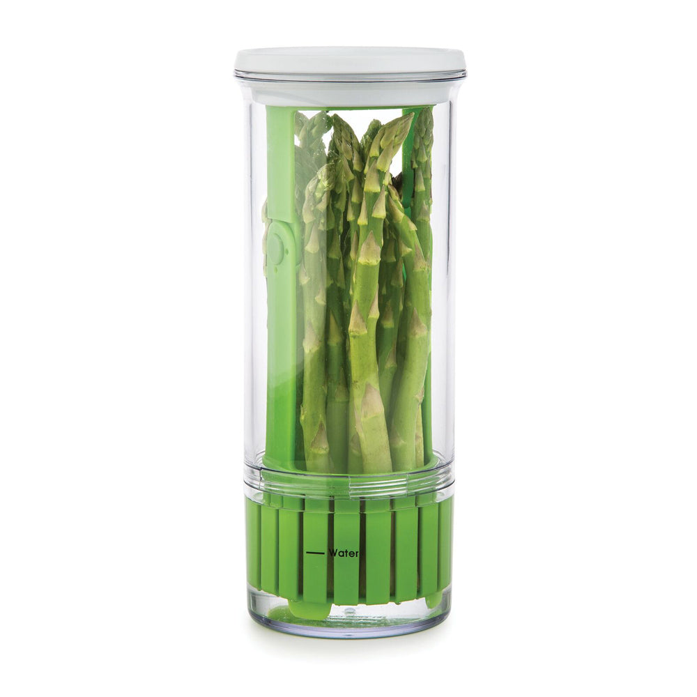 55554-progressive-prep-solutions-herb-keeper-storage-container-green-clear