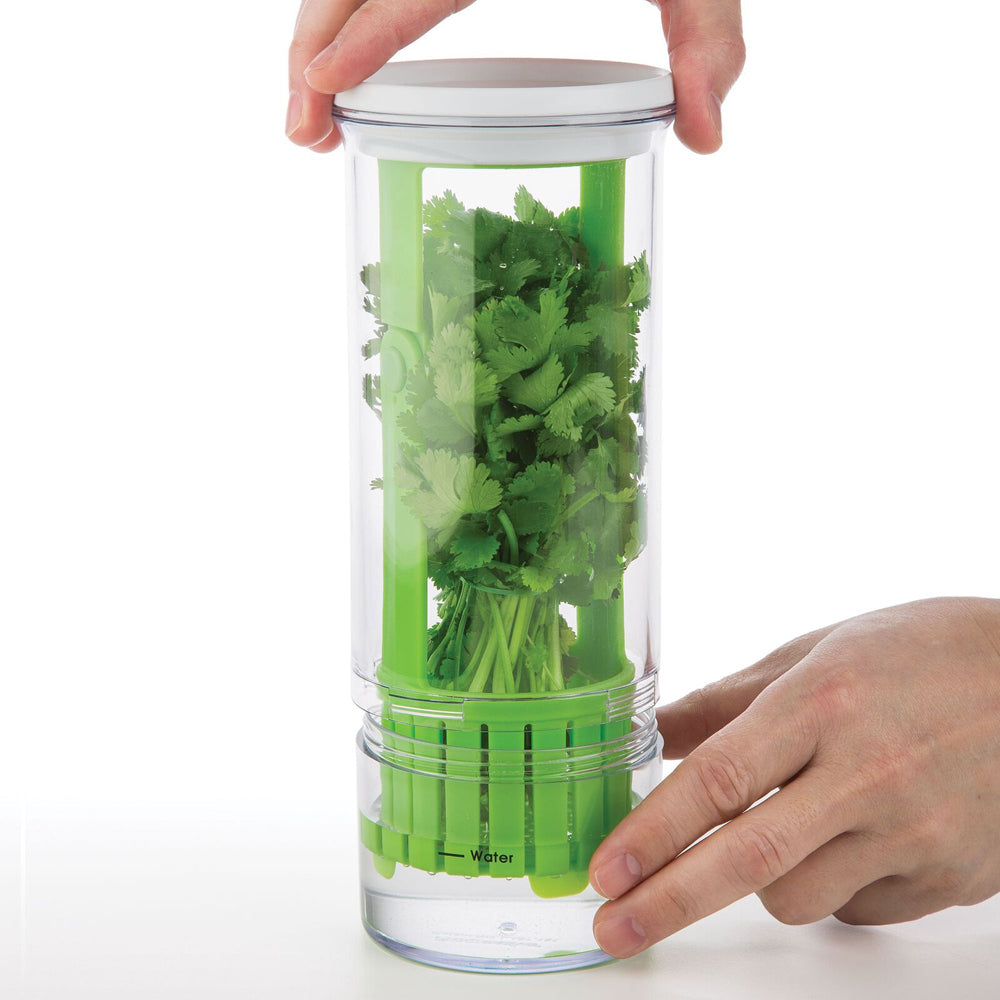 55554-progressive-prep-solutions-herb-keeper-storage-container-green-clear