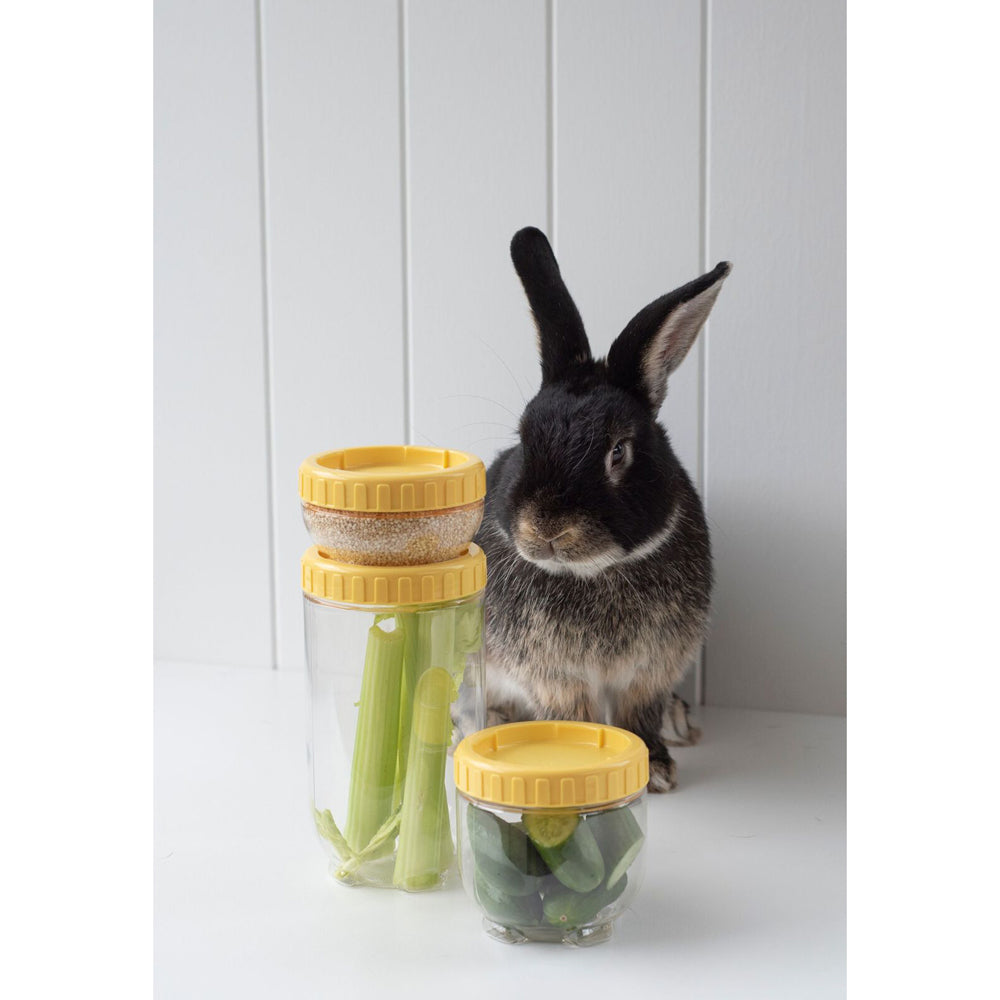 70881-lock-lock-1l-airtight-cat-dog-pet-interlock-wet-dry-food-storage-yellow