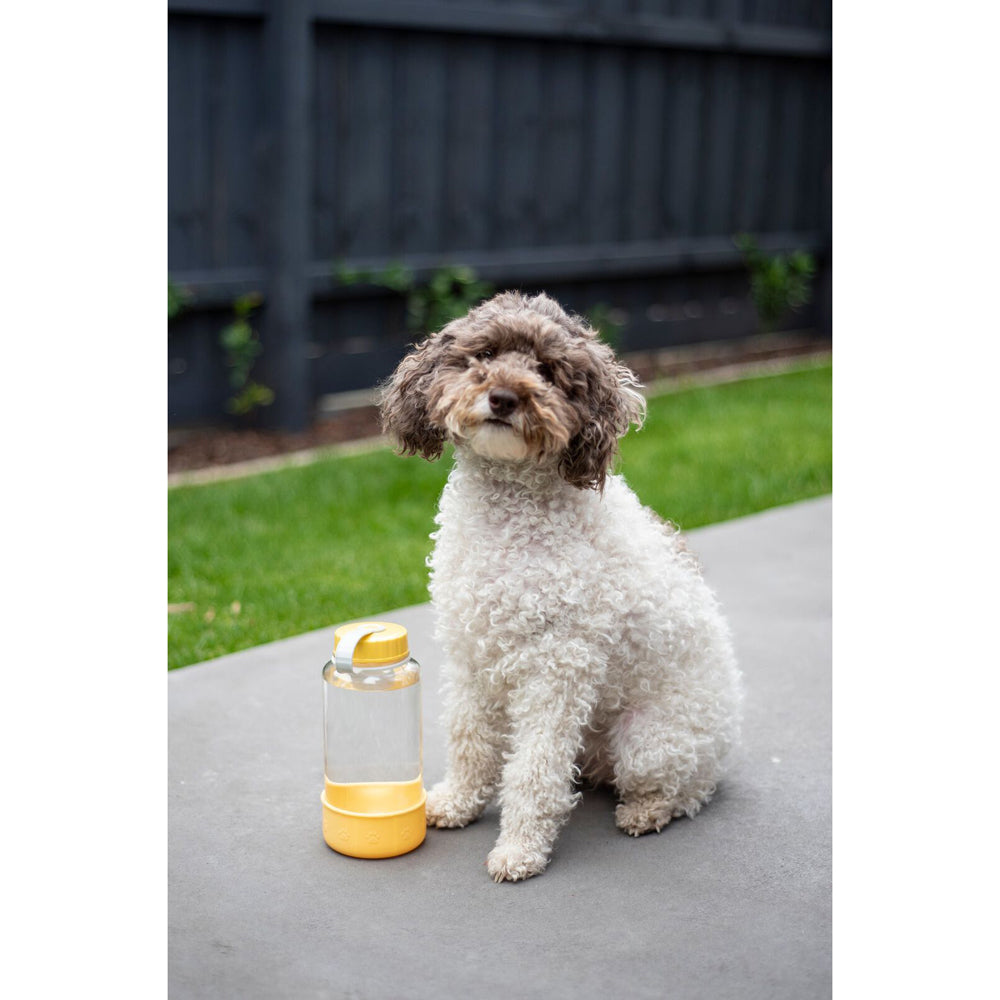 70892-lock-lock-1l-dog-cat-pet-water-bottle-w-handle-silicone-bowl-yellow