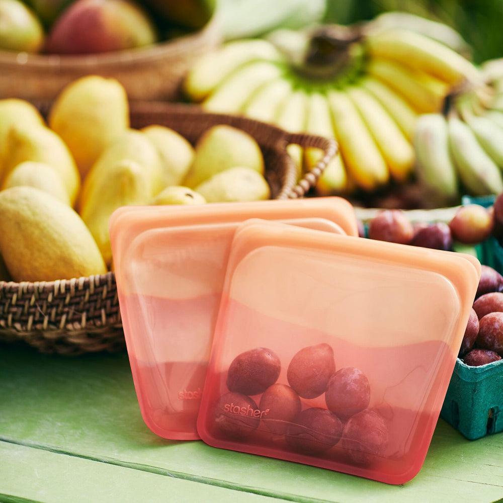 73113-stasher-silicone-828ml-19cm-reusable-sandwich-bag-galapagos
