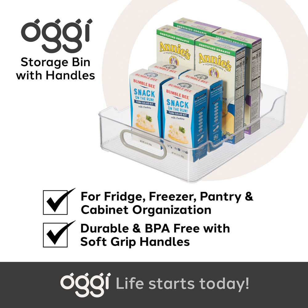 47240-oggi-30x22cm-cabinet-storage-bin-w-soft-grip-handles-clear