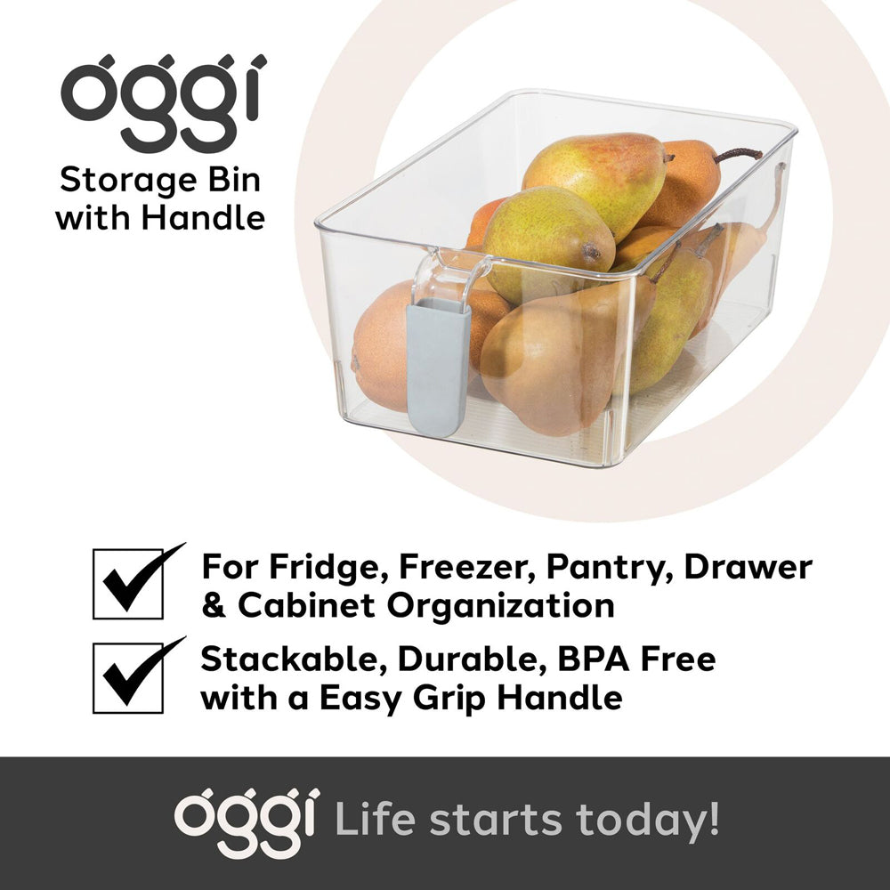47251-2pc-oggi-cabinet-storage-bins-food-container-w-grip-handles-large-clear