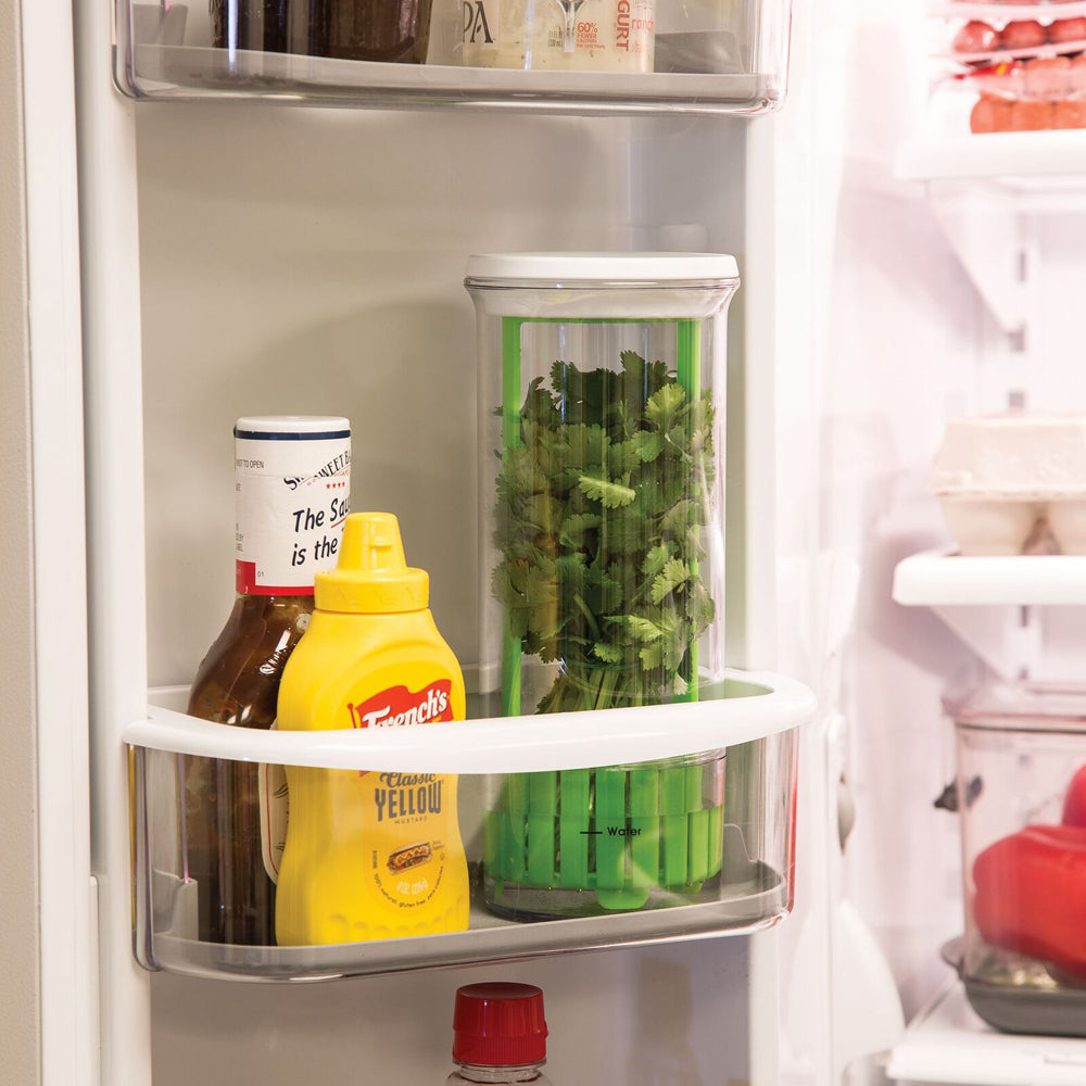 55554-progressive-prep-solutions-herb-keeper-storage-container-green-clear