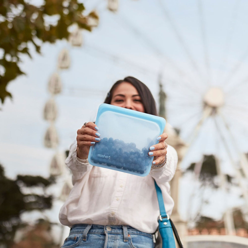 73047-stasher-silicone-828ml-19cm-reusable-sandwich-bag-blue