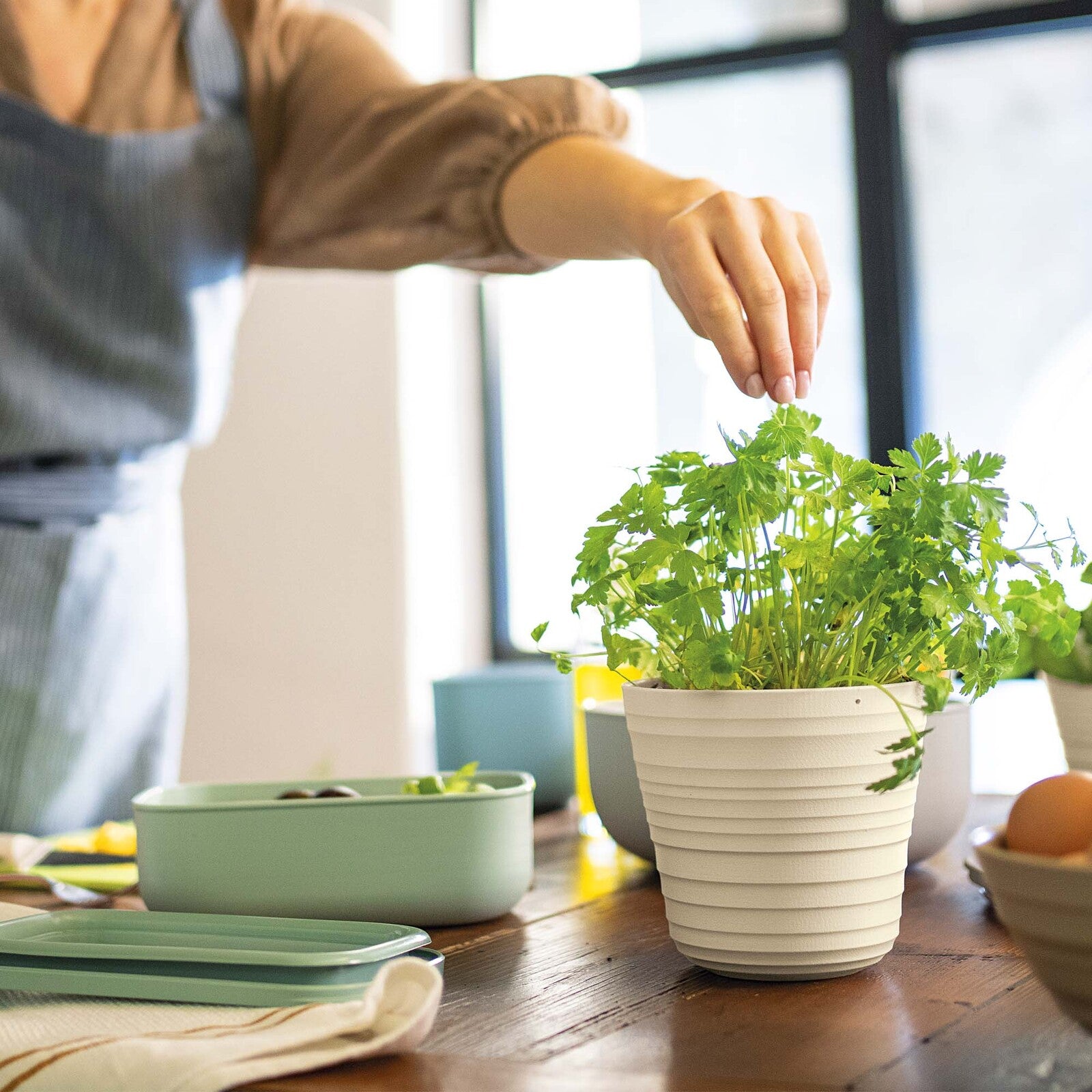 196200156-guzzini-earth-tierra-12cm-single-plant-pot-holder-white