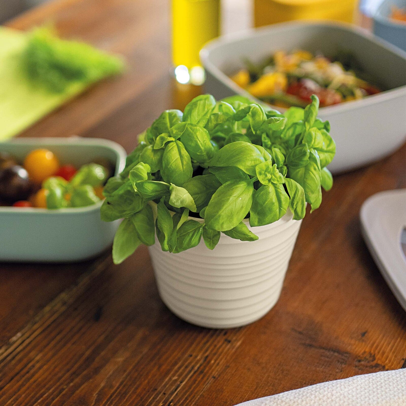 196200156-guzzini-earth-tierra-12cm-single-plant-pot-holder-white