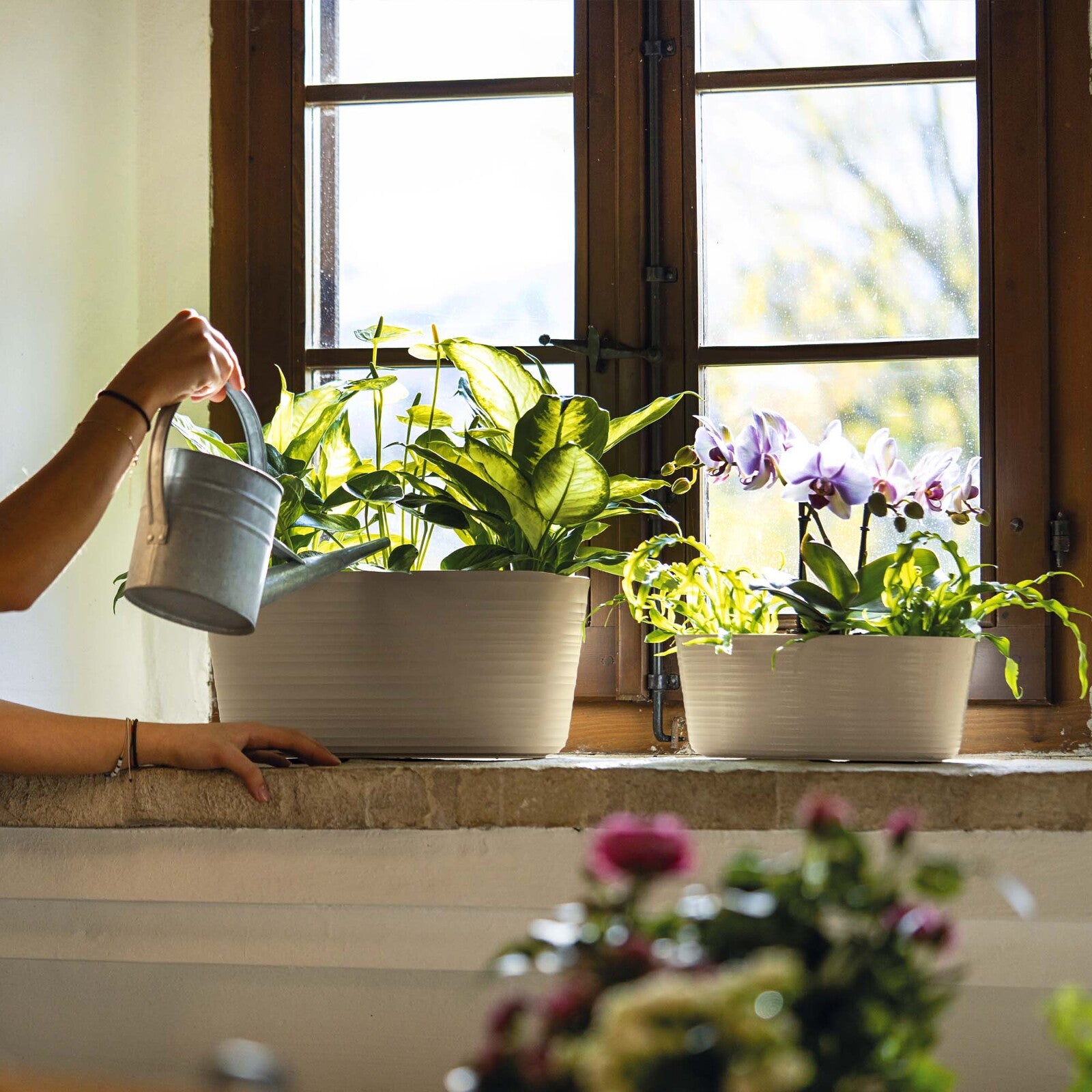 19620179-guzzini-earth-tierra-29-2cm-3l-multiple-plant-pot-holder-small-clay