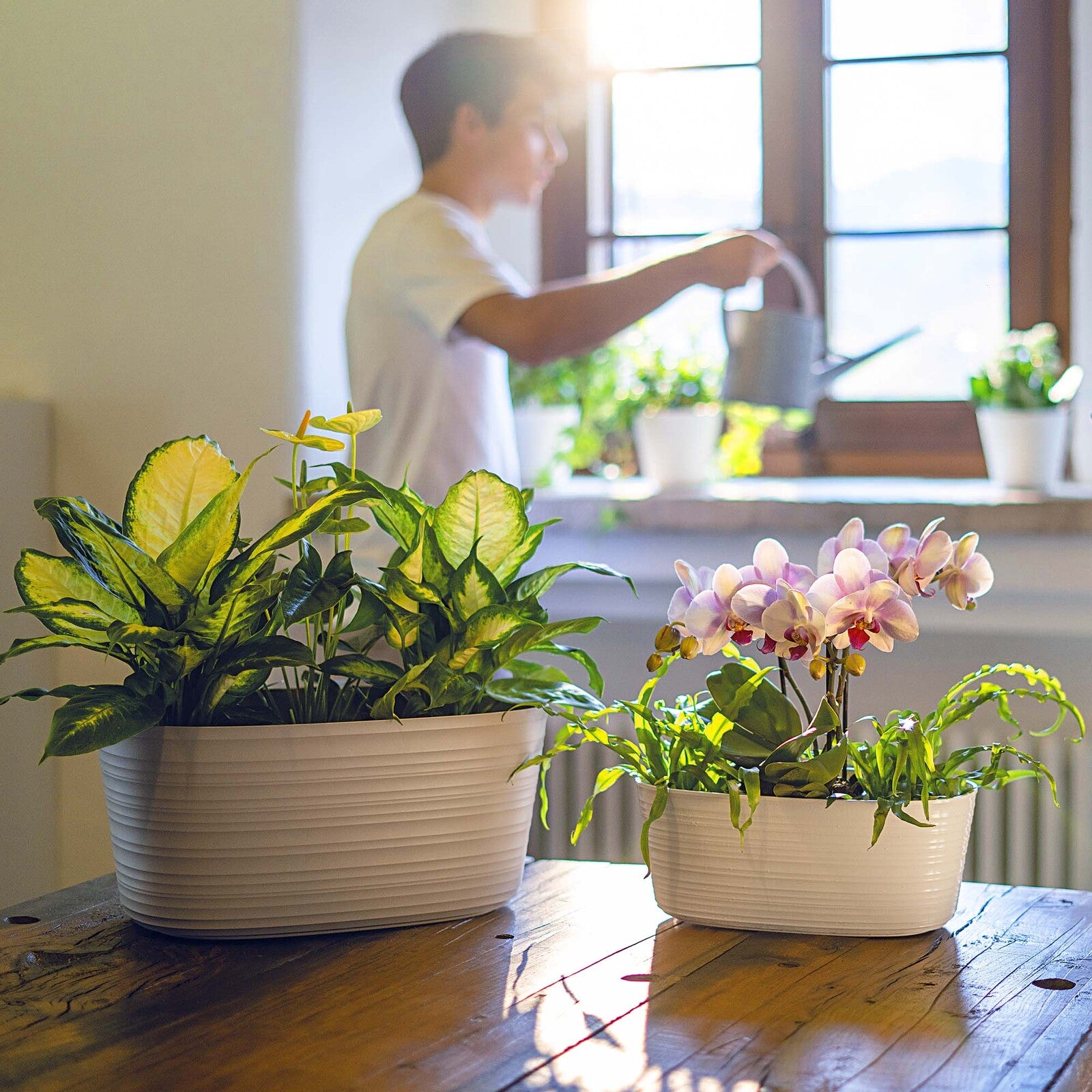 19620279-guzzini-earth-tierra-38-4cm-10l-multiple-plant-pot-holder-large-clay