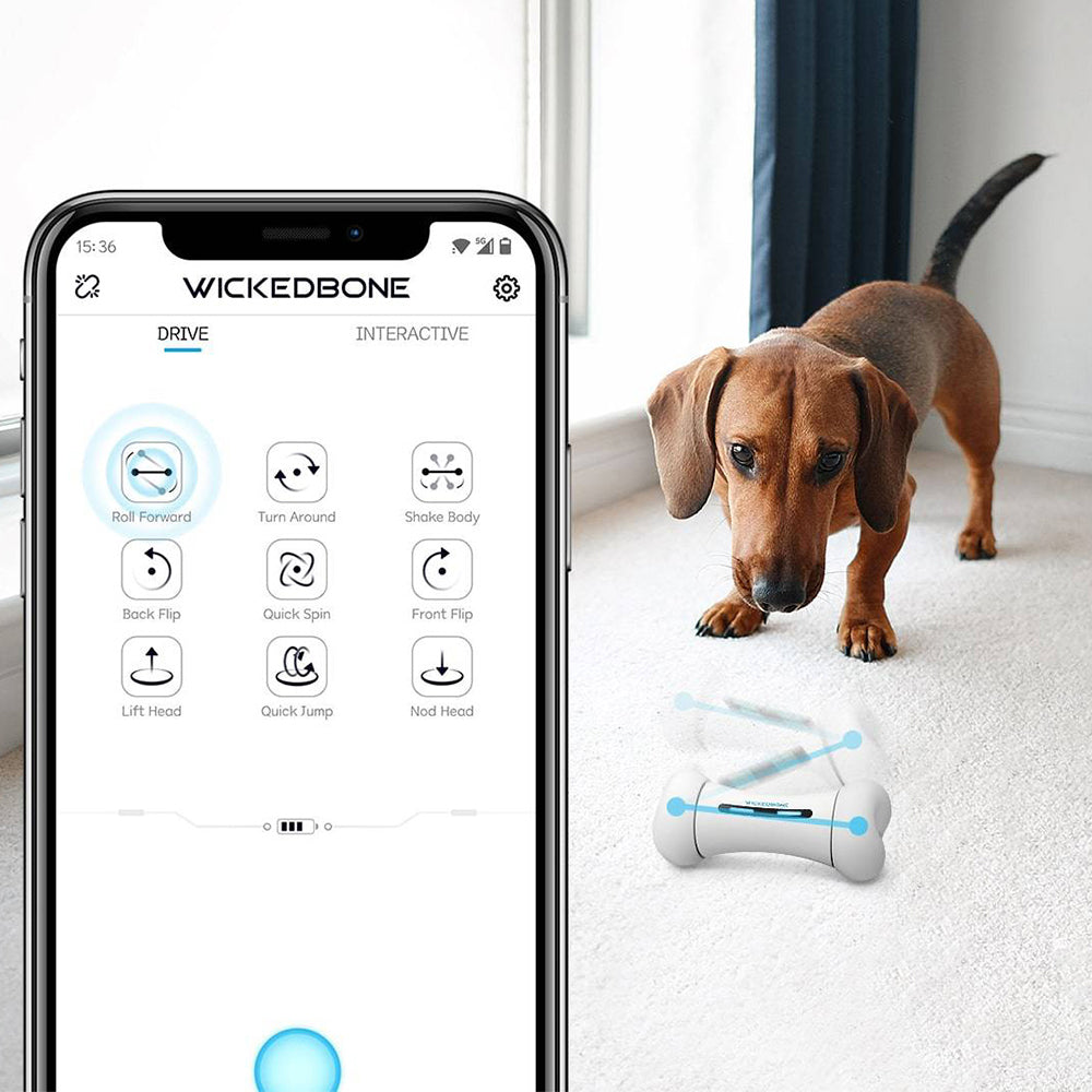2499-cheerble-wicked-bone-app-controlled-rechargable-remote-moving-dog-toy