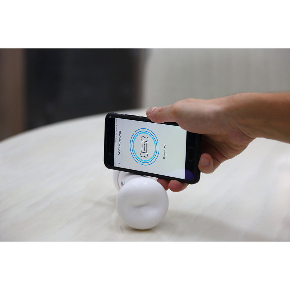 2499-cheerble-wicked-bone-app-controlled-rechargable-remote-moving-dog-toy