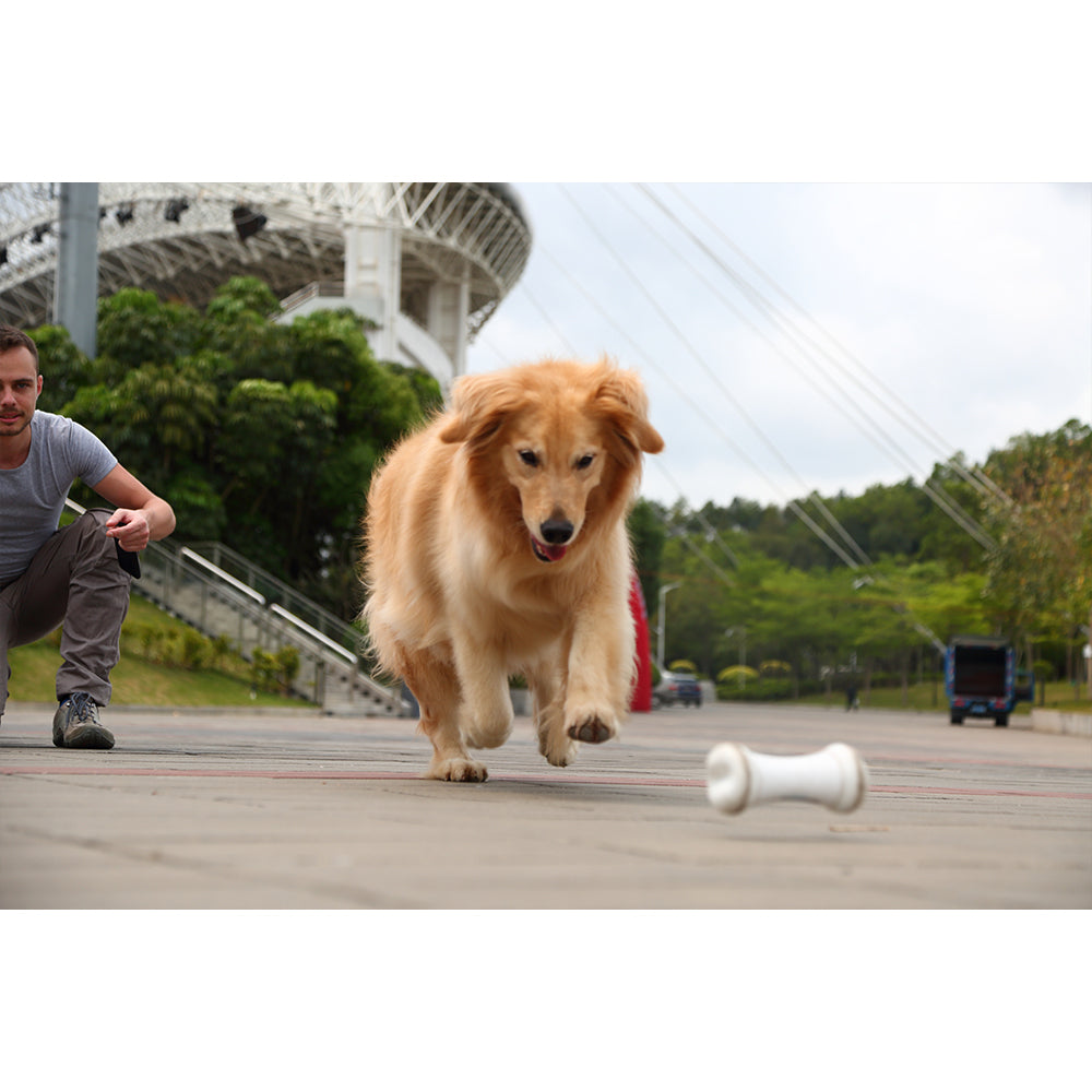 2499-cheerble-wicked-bone-app-controlled-rechargable-remote-moving-dog-toy