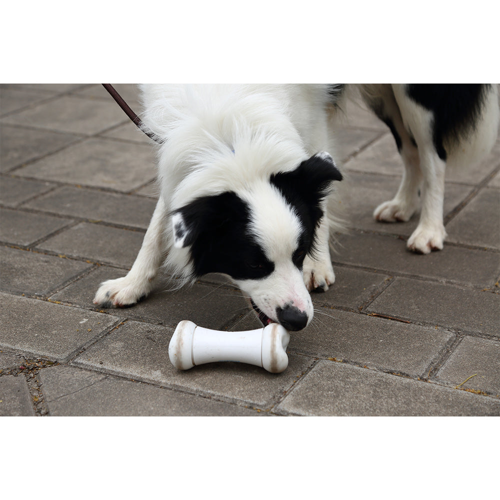 2499-cheerble-wicked-bone-app-controlled-rechargable-remote-moving-dog-toy