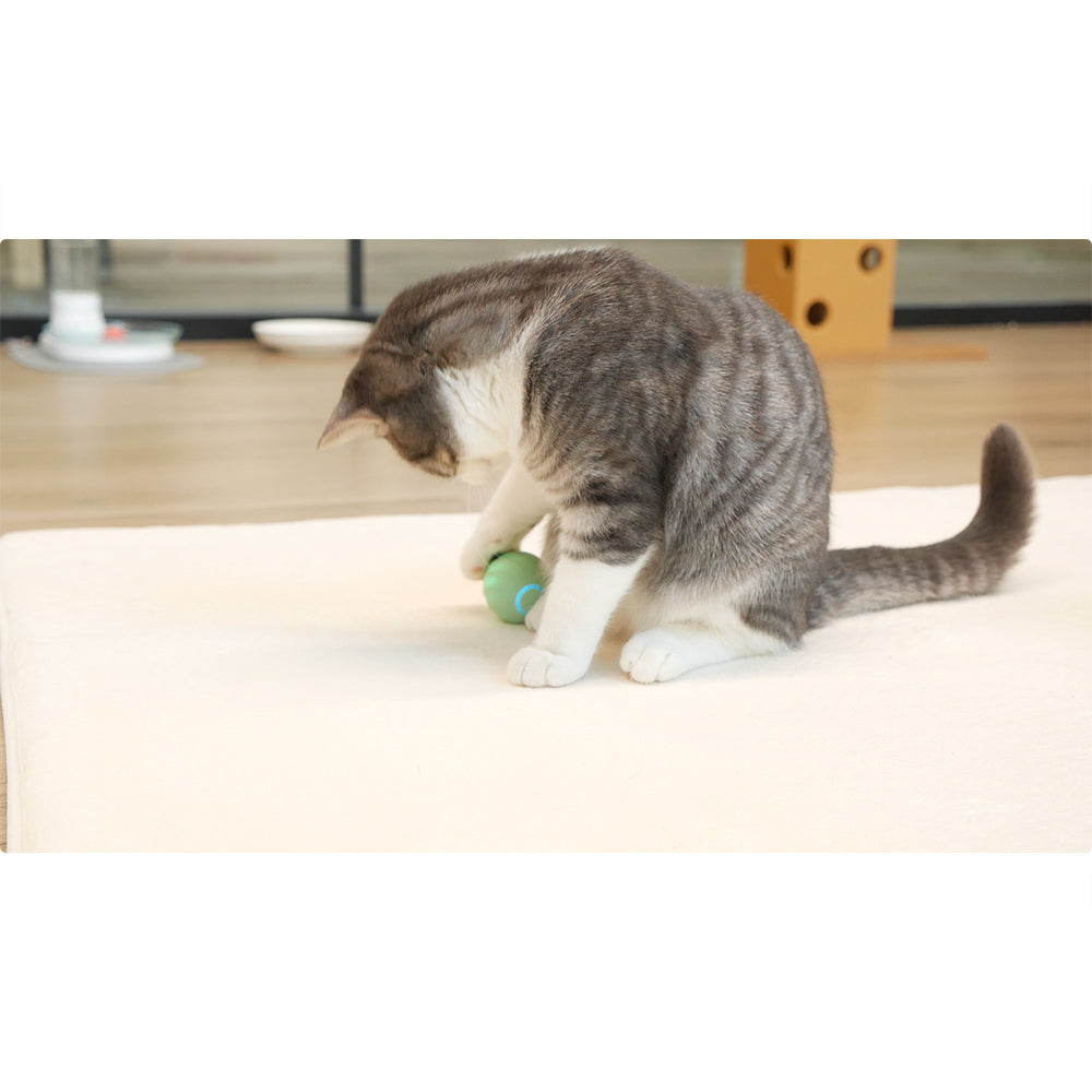 4141-cheerble-m2-ice-ceam-electronic-interactive-cat-pet-toy-matcha-green