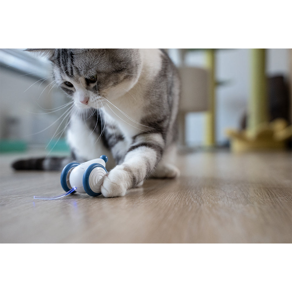 4240-cheerble-wicked-mouse-electronic-interactive-cat-pet-toy-blue