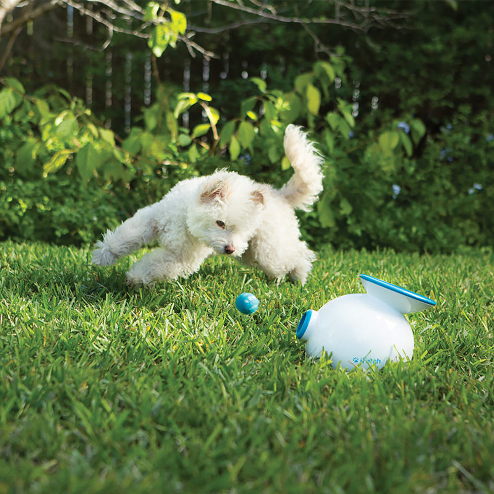 5002-ifetch-original-automatic-gravity-ball-launcher-dog-fetch-toy-white-blue