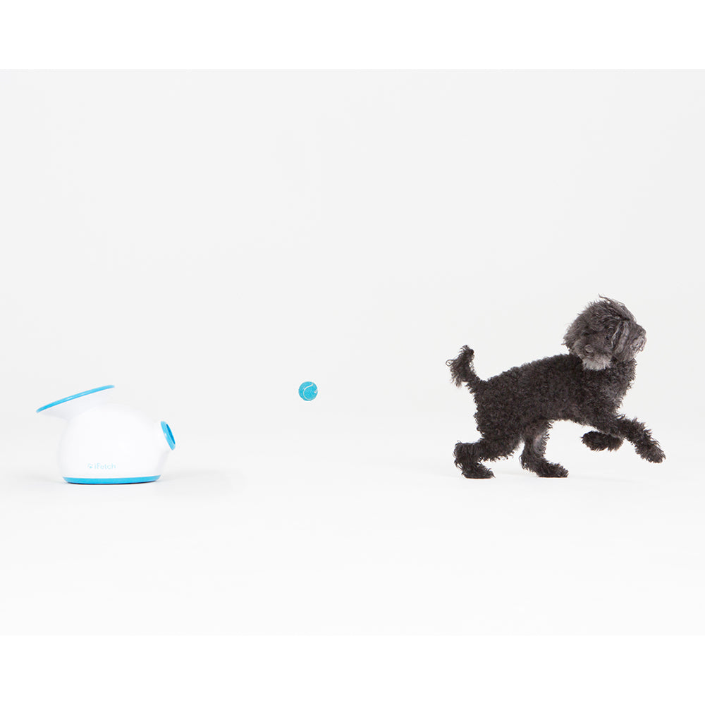 5002-ifetch-original-automatic-gravity-ball-launcher-dog-fetch-toy-white-blue