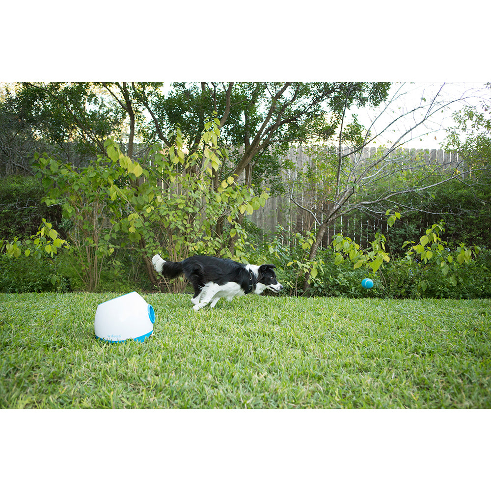 5033-ifetch-too-automatic-rechargable-ball-launcher-dog-fetch-toy-white-blue