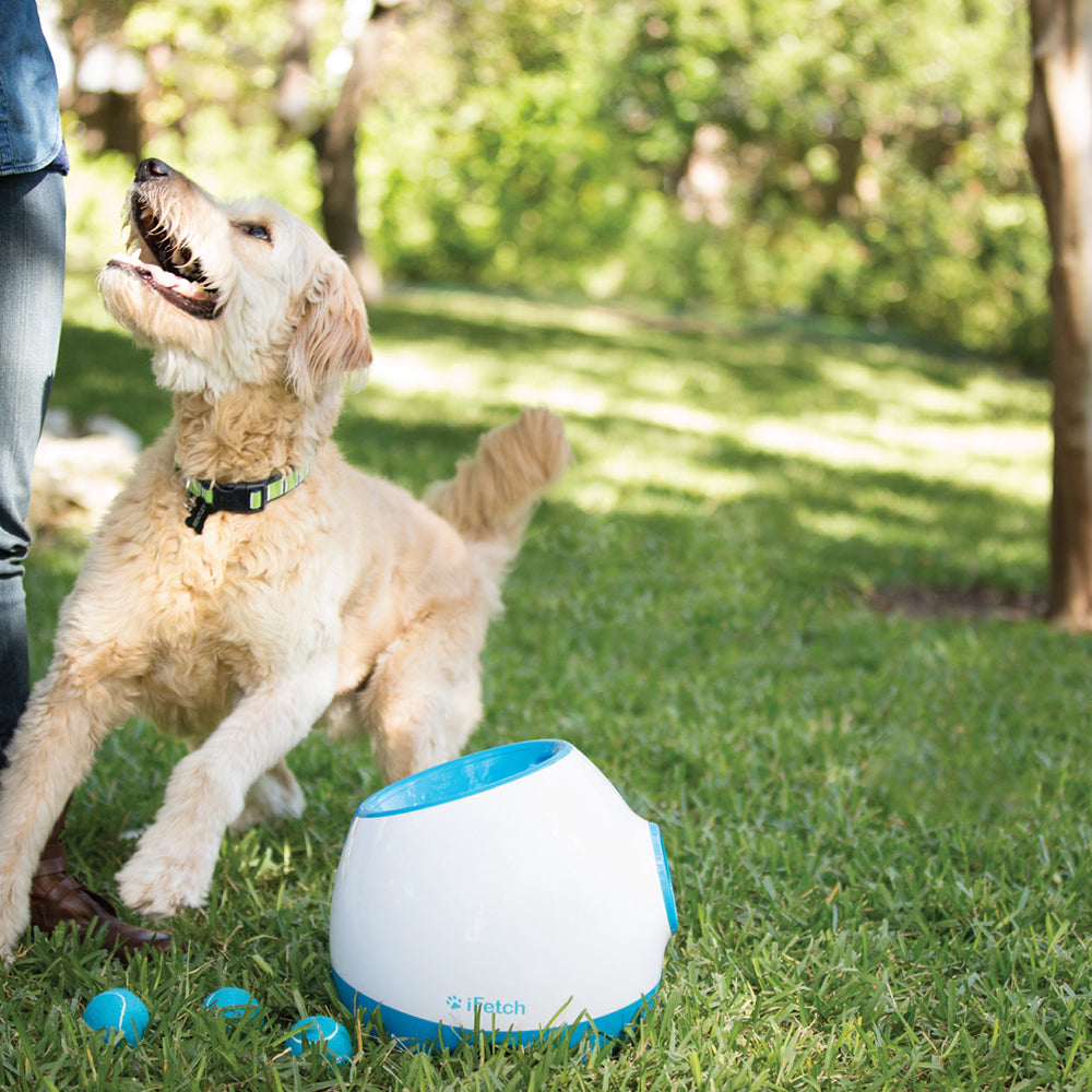 5033-ifetch-too-automatic-rechargable-ball-launcher-dog-fetch-toy-white-blue