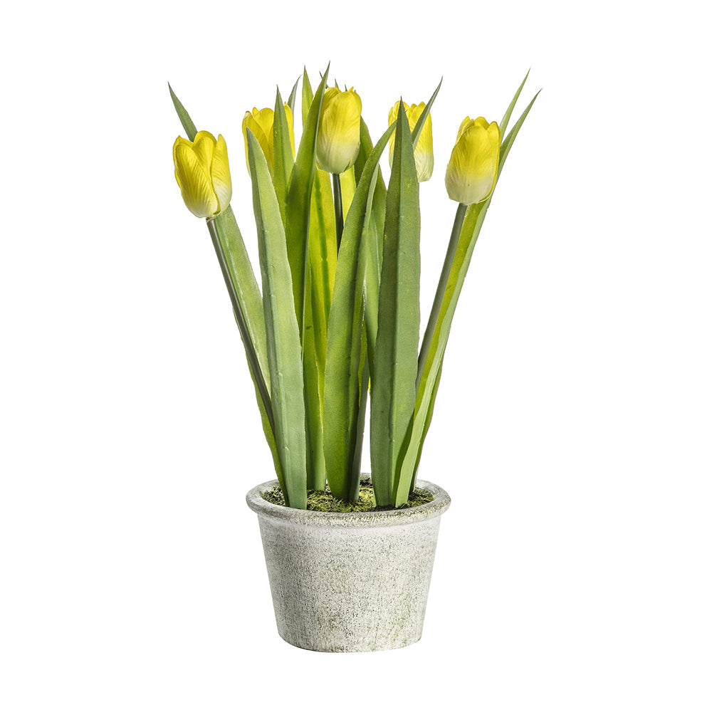 5059413398810-hudson-living-14x30cm-potted-tulips-planter-yellow
