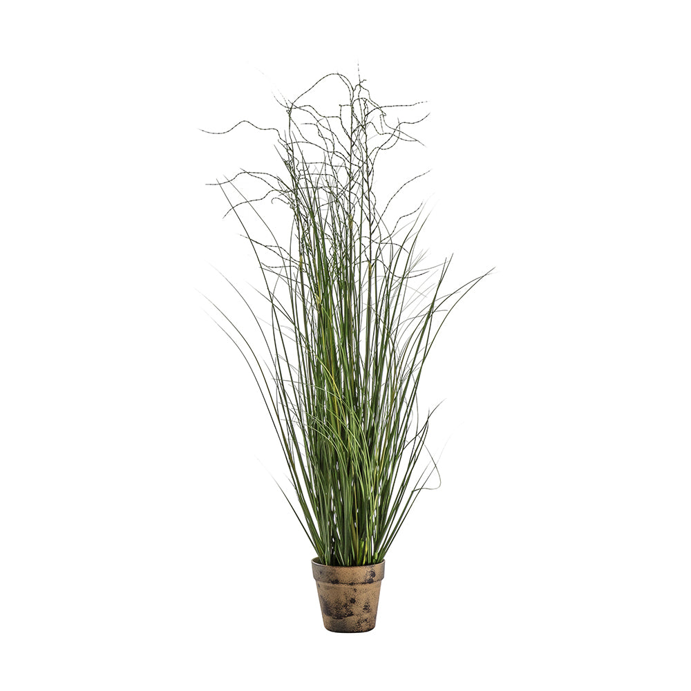 5059413399046-hudson-living-100x35cm-potted-onion-grass-home-decor-green