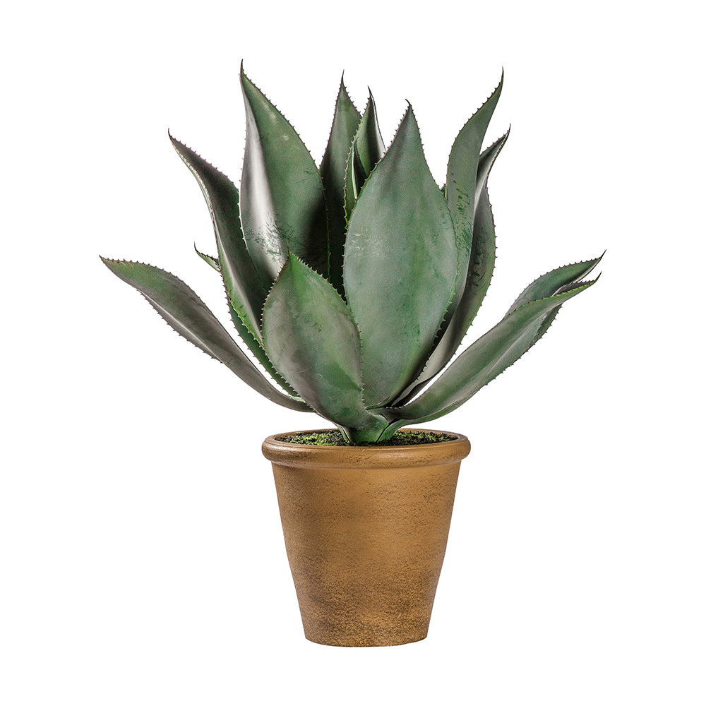 5059413399268-hudson-living-56x56cm-aloe-wide-leaf-w-pot-home-decor