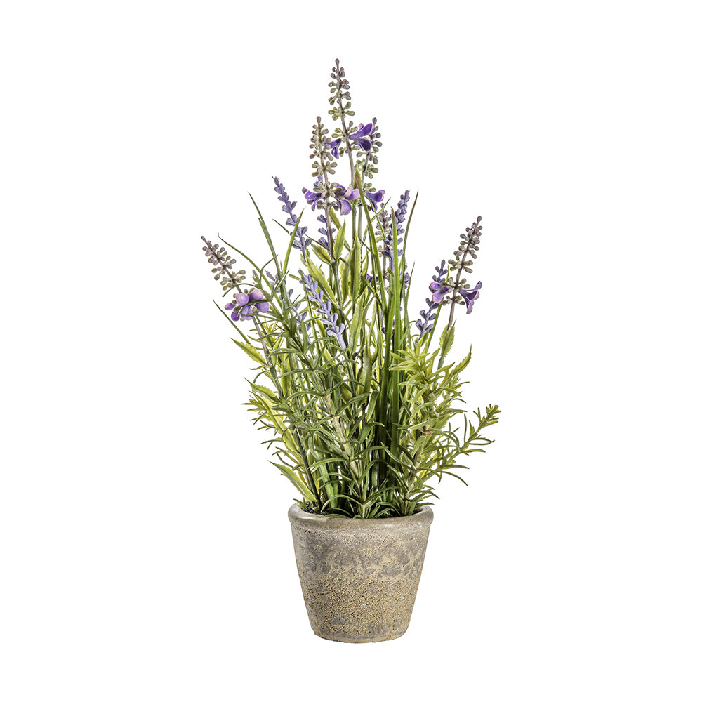 5059413399367-hudson-living-56cm-artificial-lavender-classic-w-cement-pot-large
