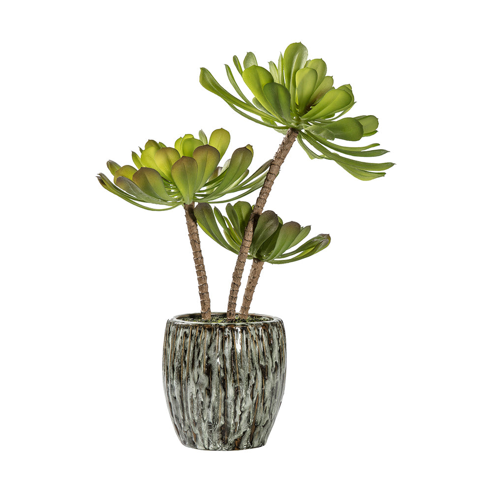 5059413399565-hudson-living-artificial-34cm-echeveria-w-rustic-cement-pot-green
