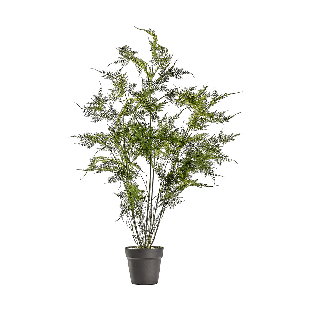 5059413399589-hudson-living-51x94cm-potted-fern-asparagus-artificial-plant-large